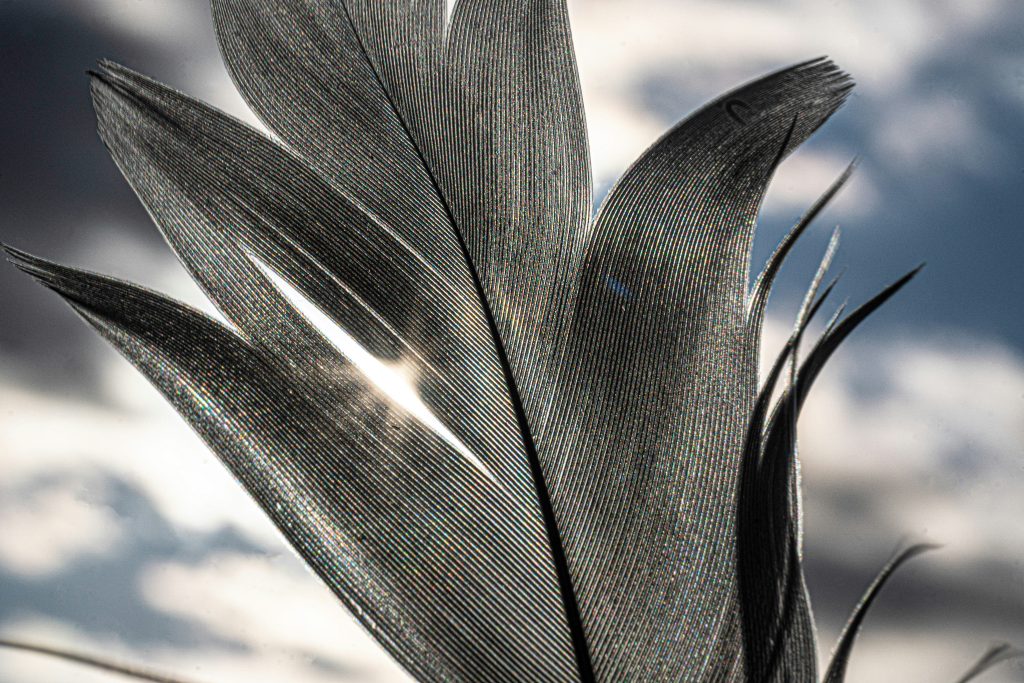 Carbon Fiber vs Aluminum