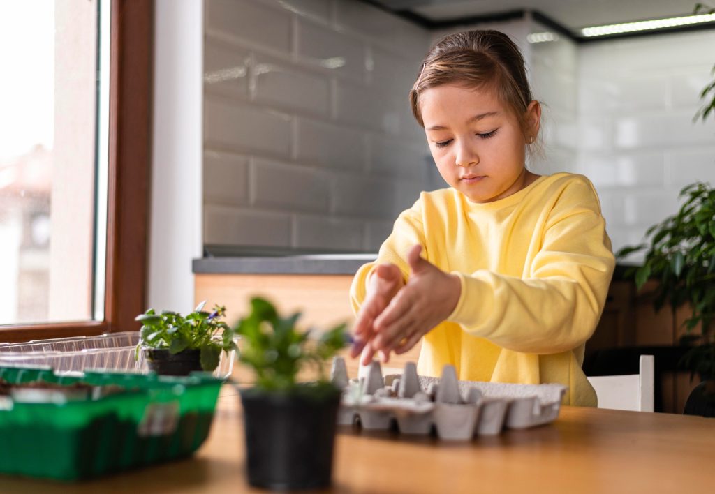 Renewable energy education