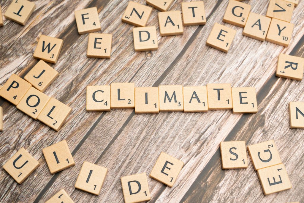 Climate policy education